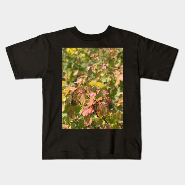 Maple Leaves Kids T-Shirt by Sparkleweather